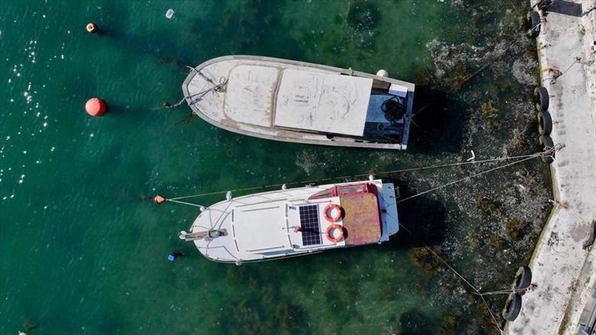 Marmara'da küçük balıkçılara müsilaj desteği