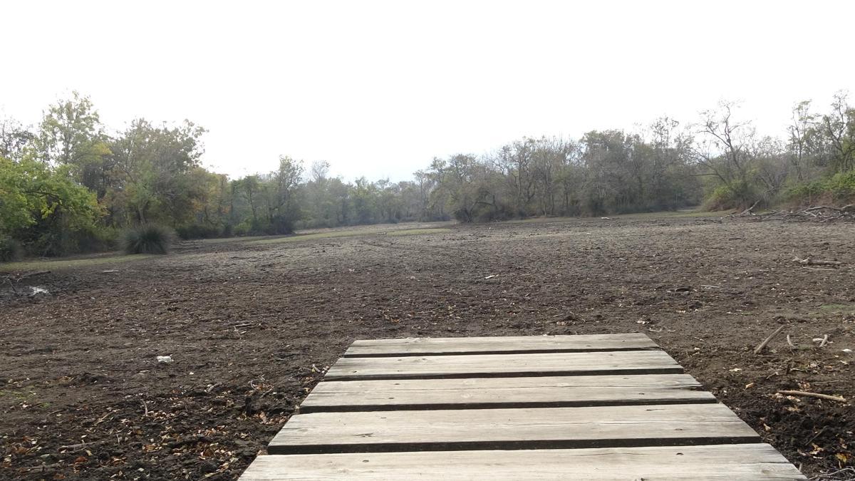 Türkiyenin 3üncü büyük longozu da kurudu