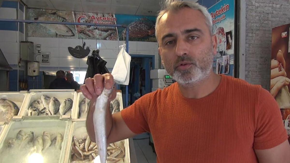 İskenderun Körfezinde jumbo karides bolluğu, fiyat…