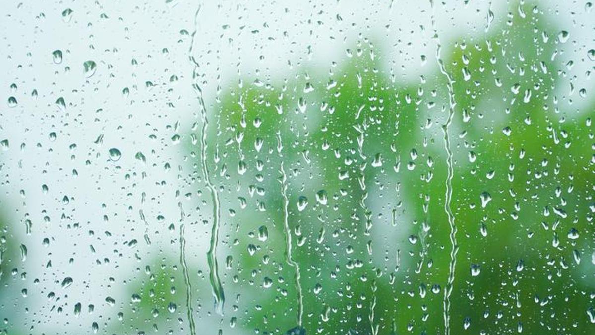 Alarm verici araştırma: Gökten mikroplastik yağdı