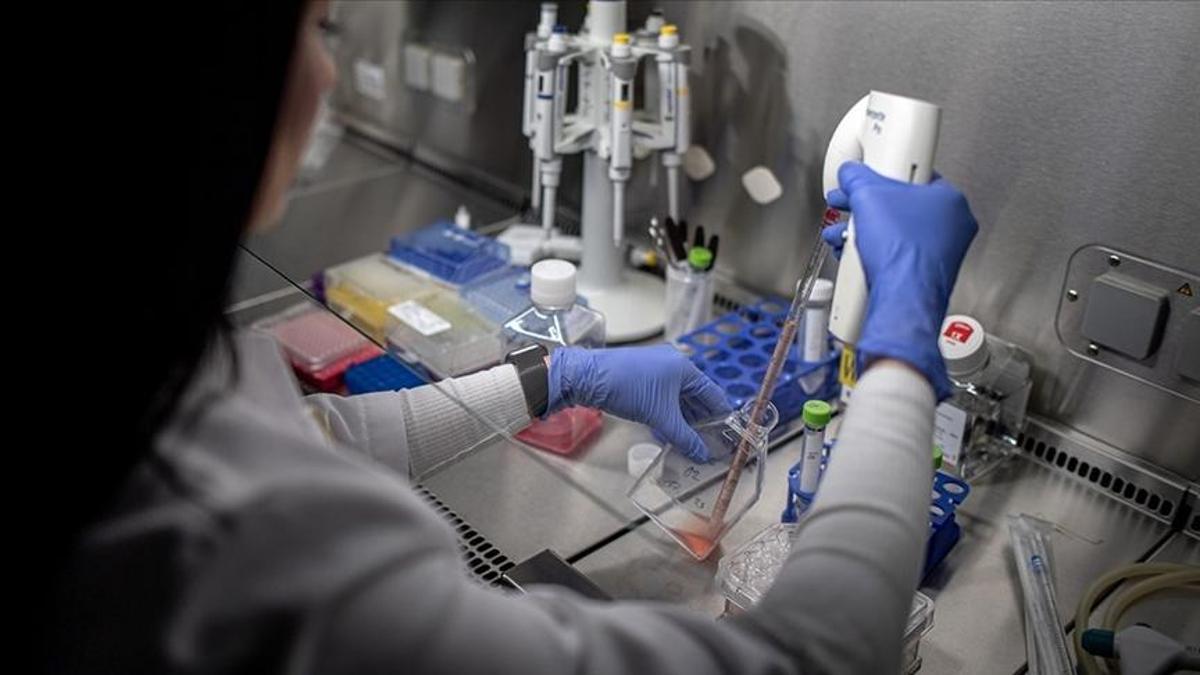 Türkiye'nin AR-GE harcamaları 652 milyar lirayı aştı