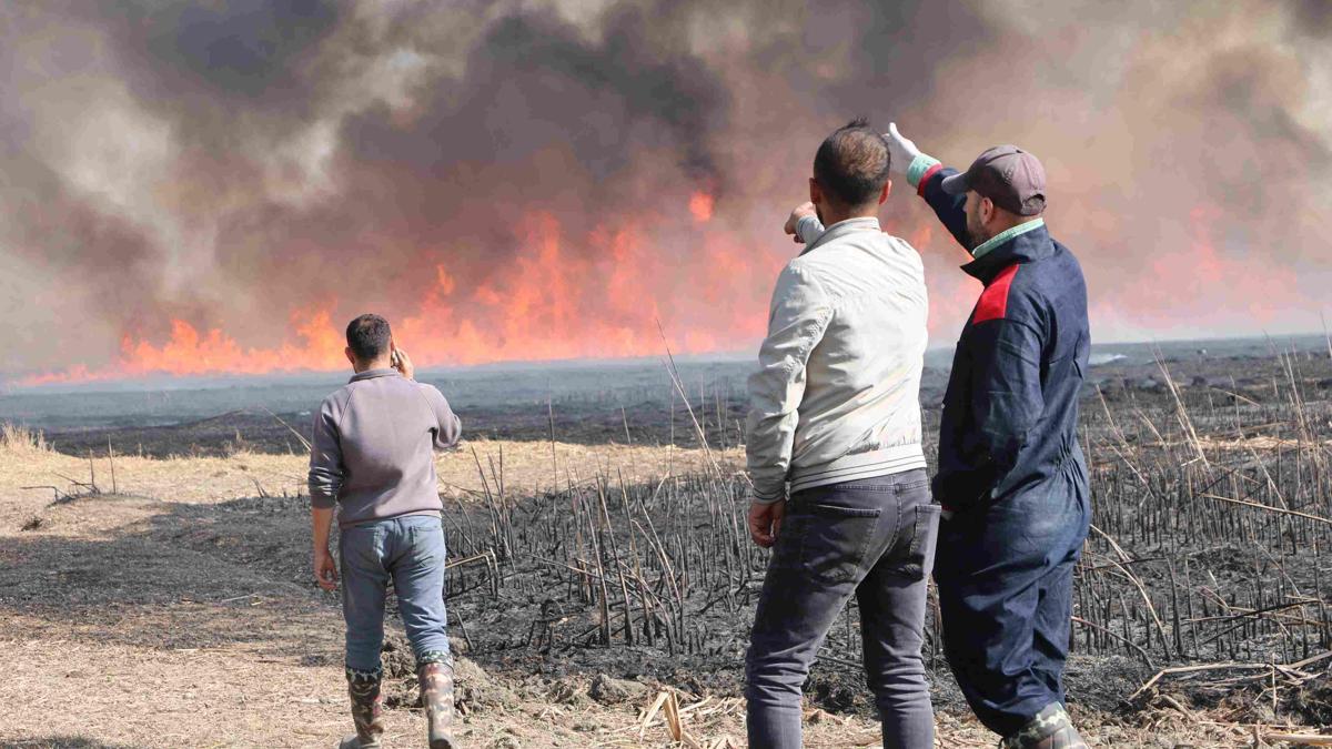 Yüksekova'da Nehil Sazlığı'nda yangın çıktı: Kuş cenneti olan bölgeye de sıçradı!