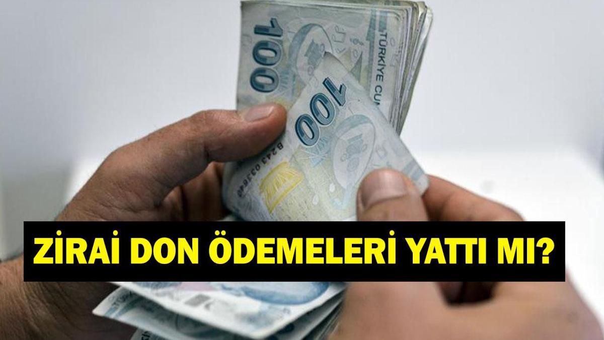 Zirai don ödemeleri başladı mı? 2025 zirai don ödemeleri ne kadar, kaç TL?