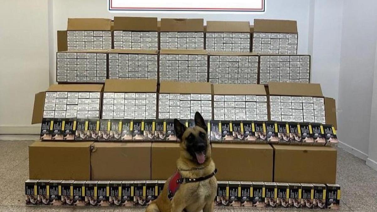 Tokatta 1 milyon 200 bin TL'lik makaron ele geçiri…