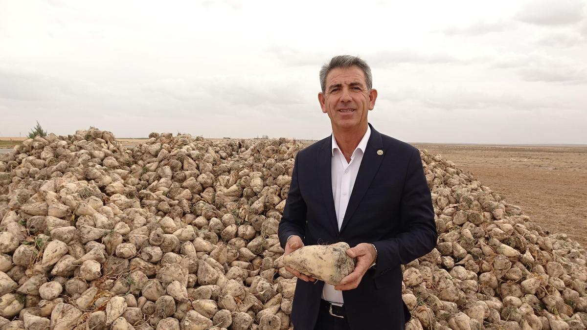 Şeker pancarında rekolte ve fiyat yüz güldürdü