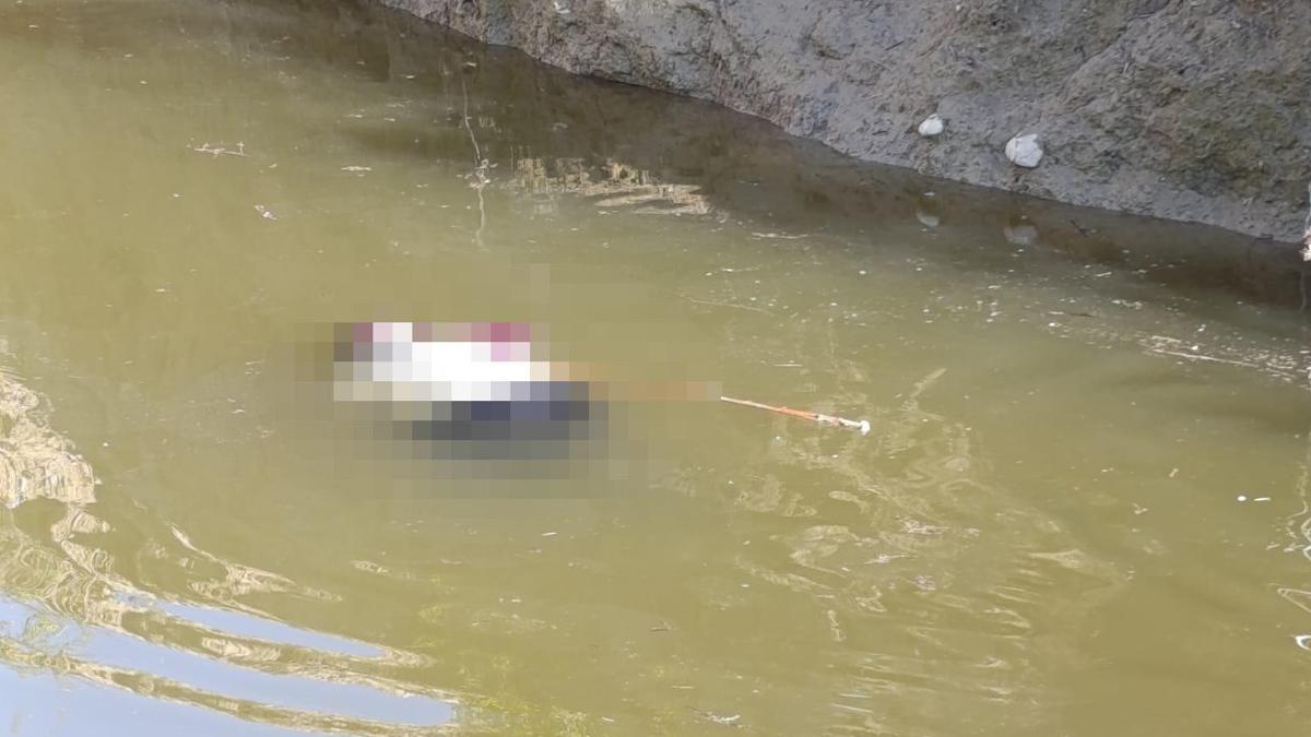 Su dolu çukurda dehşet: Kadın cesedi çıktı