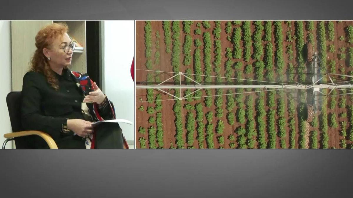 BM Gıda ve Tarım Örgütü Türkiye Temsilci Yardımcısı CNN TÜRK'te: İklim krizi gıda krizine dönüşür mü?