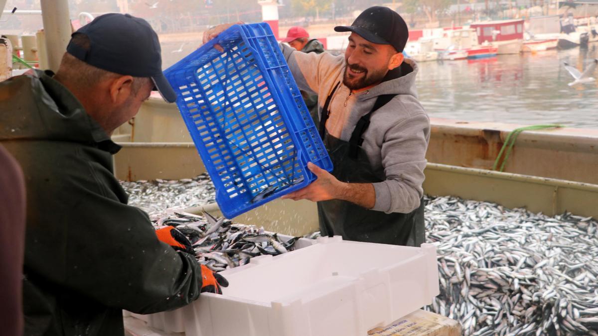 Hamsi ve sardalya bolluğu Tekirdağ'da balıkçıların yüzünü güldürdü