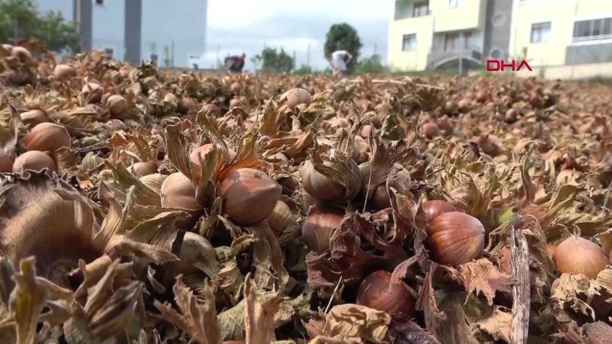 İtalyan çikolata devine rekabet freni