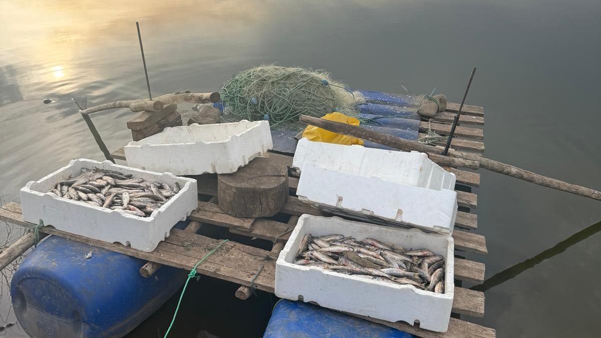 Diyarbakır'da baraj gölünde kaçak balık avcılığına yönelik denetim yapıldı