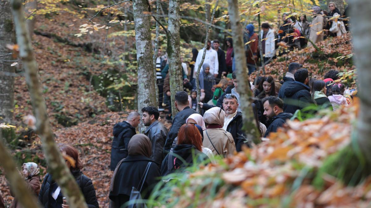 Yedigöller Milli Parkı, ziyaretçi akınına uğradı