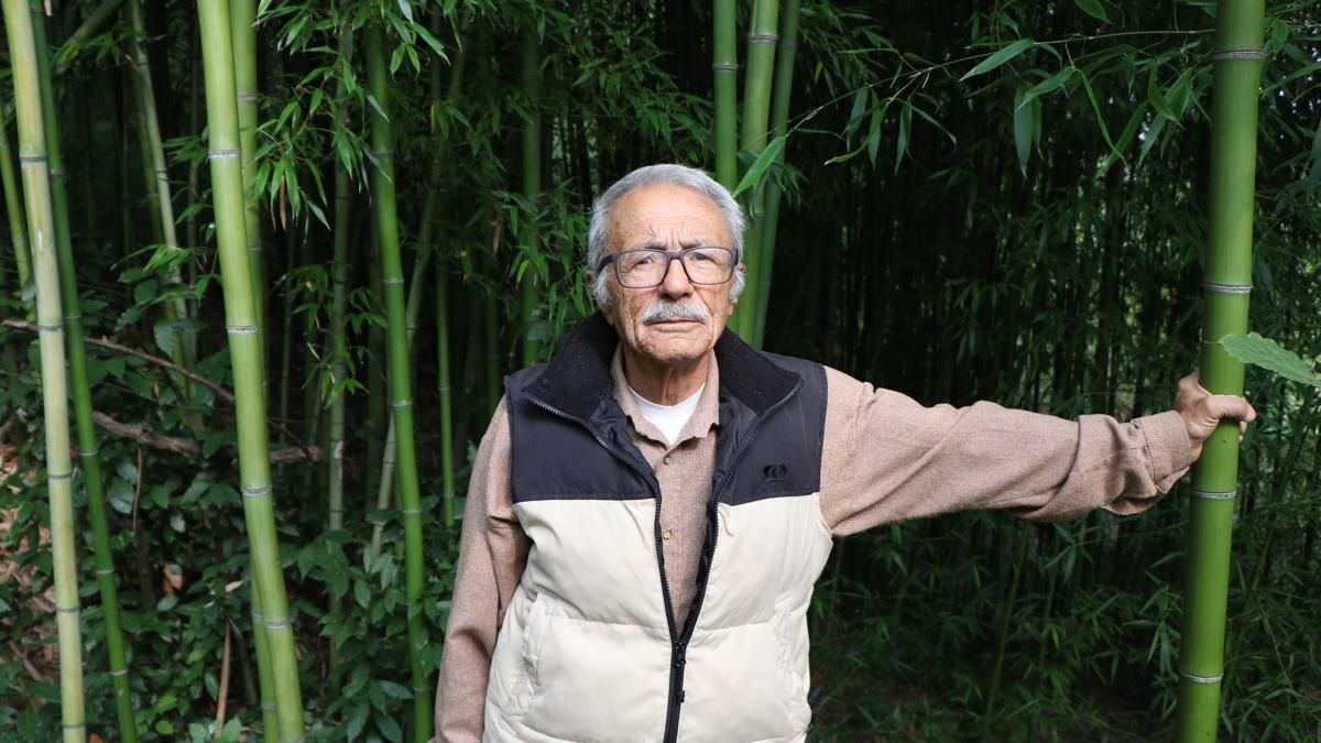 Samsun'da 10 yıldır bahçesinde bambu yetiştiriyor