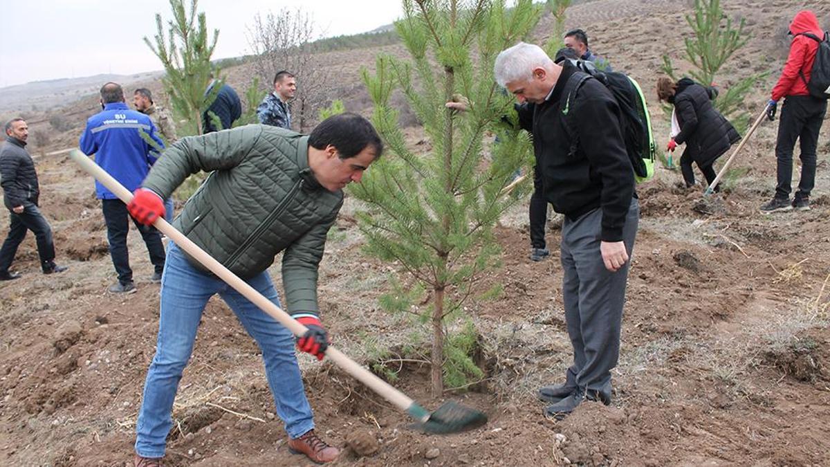 11 Kasım Milli Ağaçlandırma Günü: 3,2 milyon fidan toprakla buluşacak