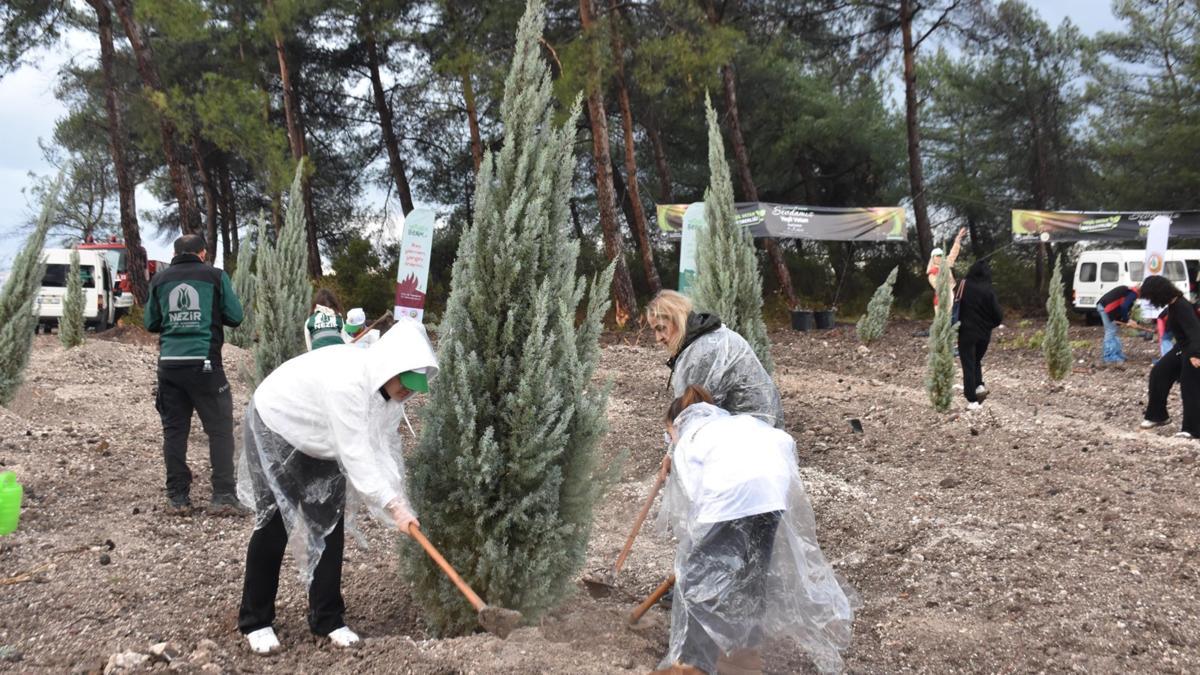 İzmirde 115 bin adet fidan toprakla buluşturuldu