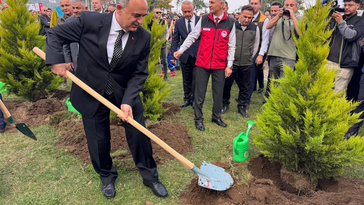 Orduda yıl sonuna kadar 350 bin fidan toprakla buluşturulacak