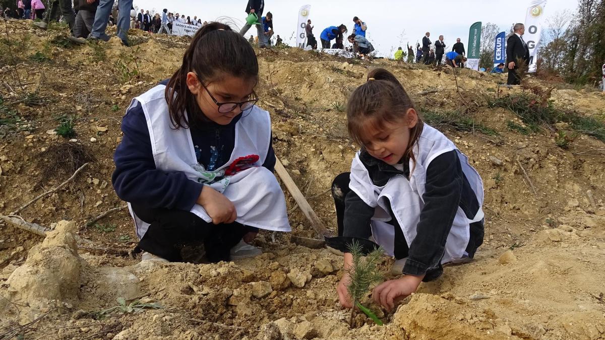 Samsunda 37 bin 380 adet fidan toprakla buluştu