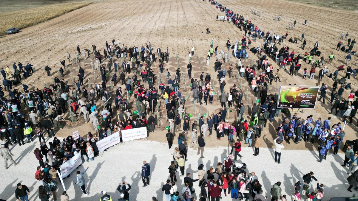 Odunpazarında 20 bin fidanın dikimi gerçekleştirildi