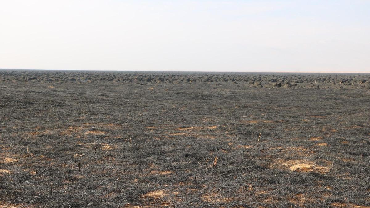 Nehil Sazlığı'ndaki yangın söndürüldü