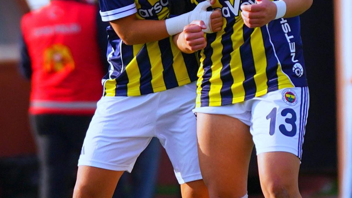 Hakkarigücü Spor - Fenerbahçe arsaVev: 0-2
