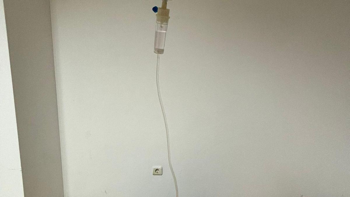 Sitenin köpeği 'Fıstık' için yürüteç