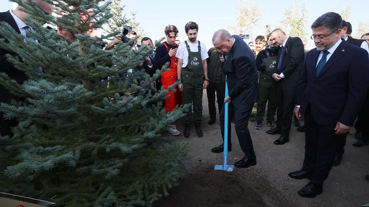 Yeşil Vatan'a rekor sayıda yeni nefes! Bakan Yumaklı açıkladı: 14 milyon fidan toprakla buluştu