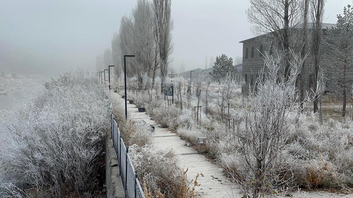 Ardahanda sis ve kırağı etkili oldu