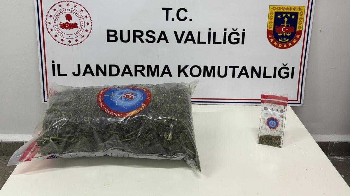 Samanlıkta kurumaya bırakılan 4 kilo esrar ele geç…