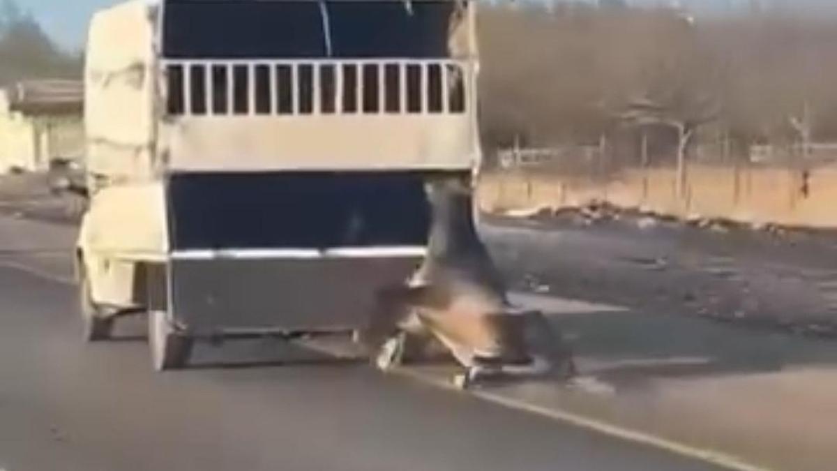 Kamyonetin arkasına bağladığı atı dakikalarca sürükledi; o anlar kamerada