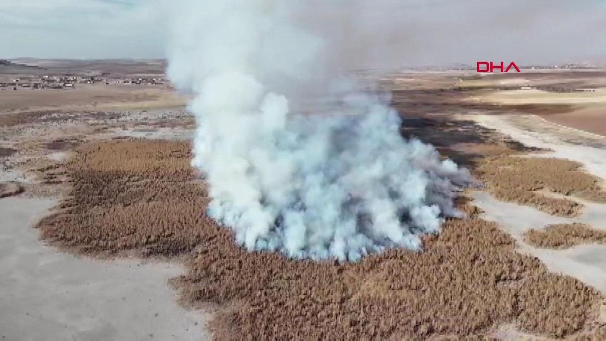 Kuş cenneti Gökgöl sazlıkları alev alev yanıyor