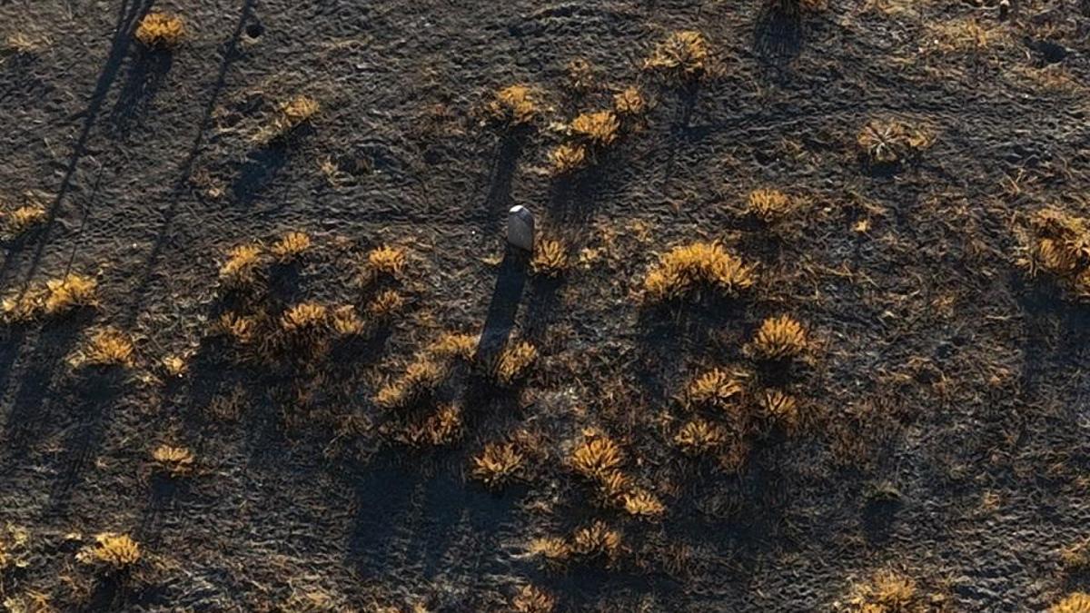 Tarihin sessiz tanığı: 9 bin yıllık höyükteki yalnız mezar!