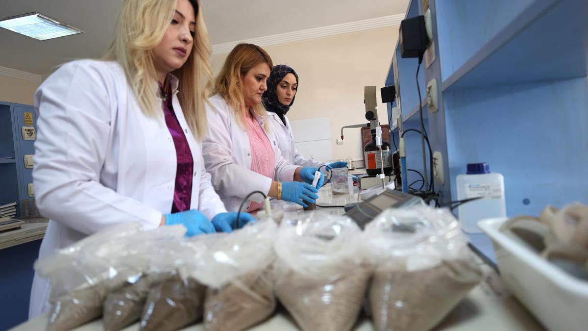 Nevşehir'de doğru toprak analiziyle kabak çekirdeği ile patatesin verim ve kalitesi arttı