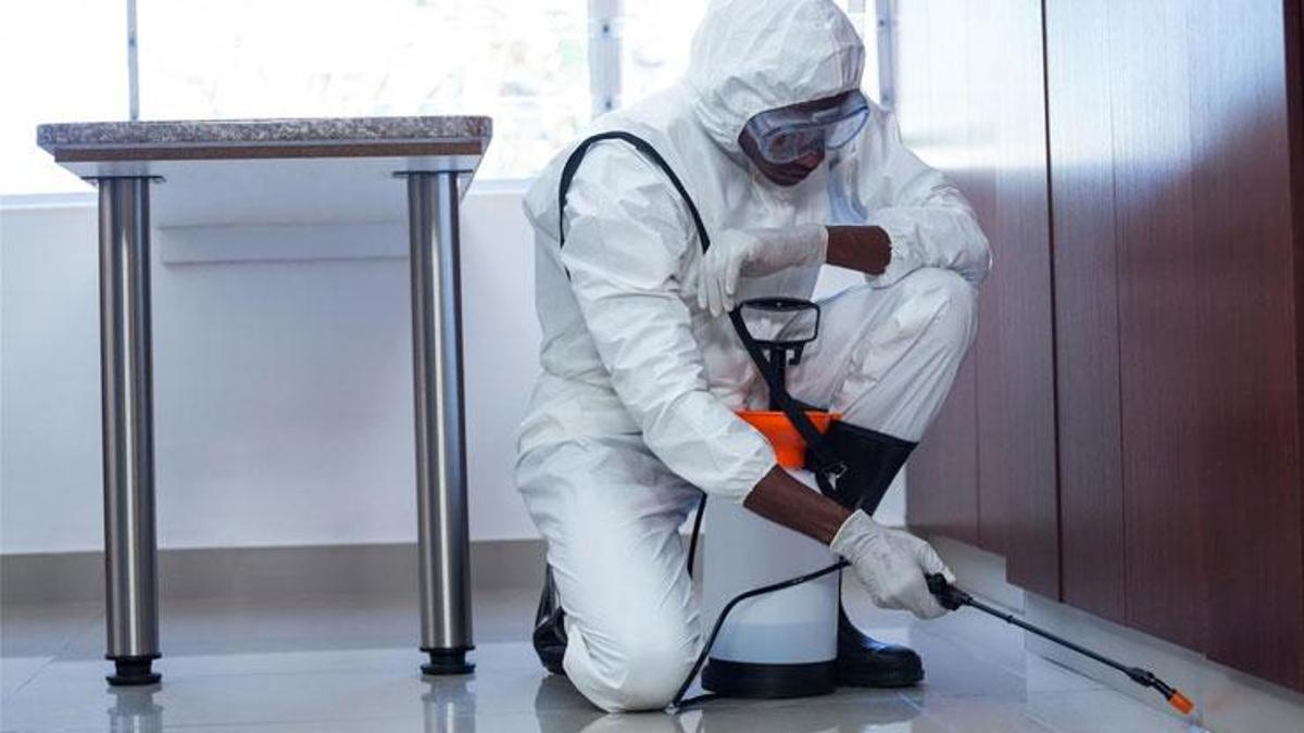 Dibimizdeki zehir! "Ne belgeleri var ne de iş yerleri" Fulya Soybaş yazdı