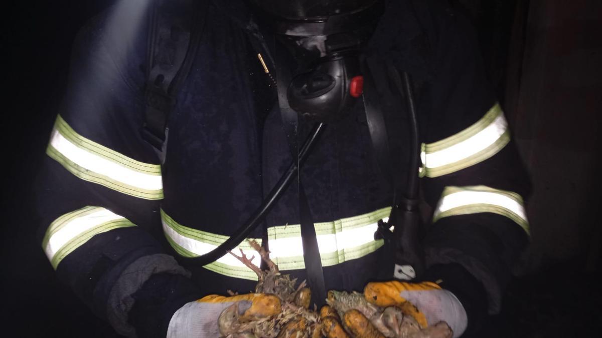 Balıkesirde tavuk çiftliğinde çıkan yangında 5 bin civciv öldü