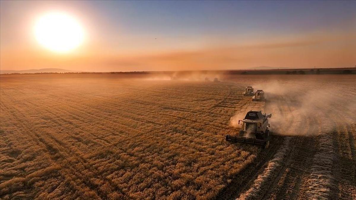 Çiftçilere 331,6 milyon liralık destek ödemesi