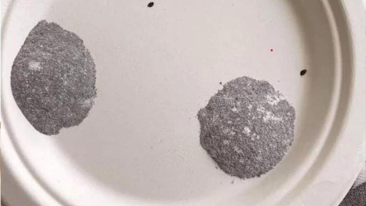 Ölüm getiren tabak: Aile ve öğrenciyi öldüren gizli tehlike