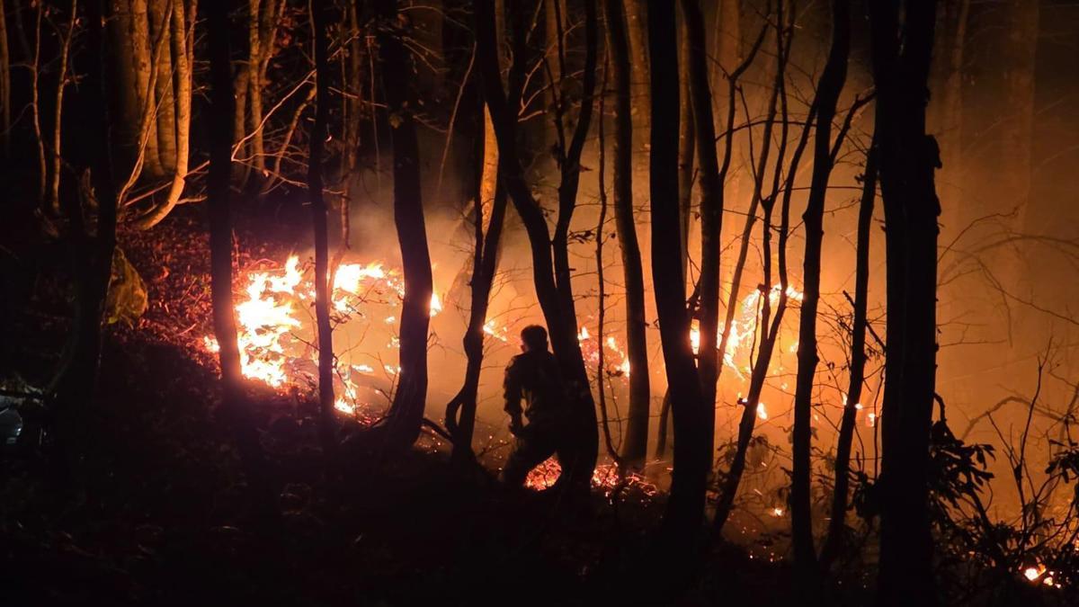 Orduda örtü yangını, ormana sıçradı
