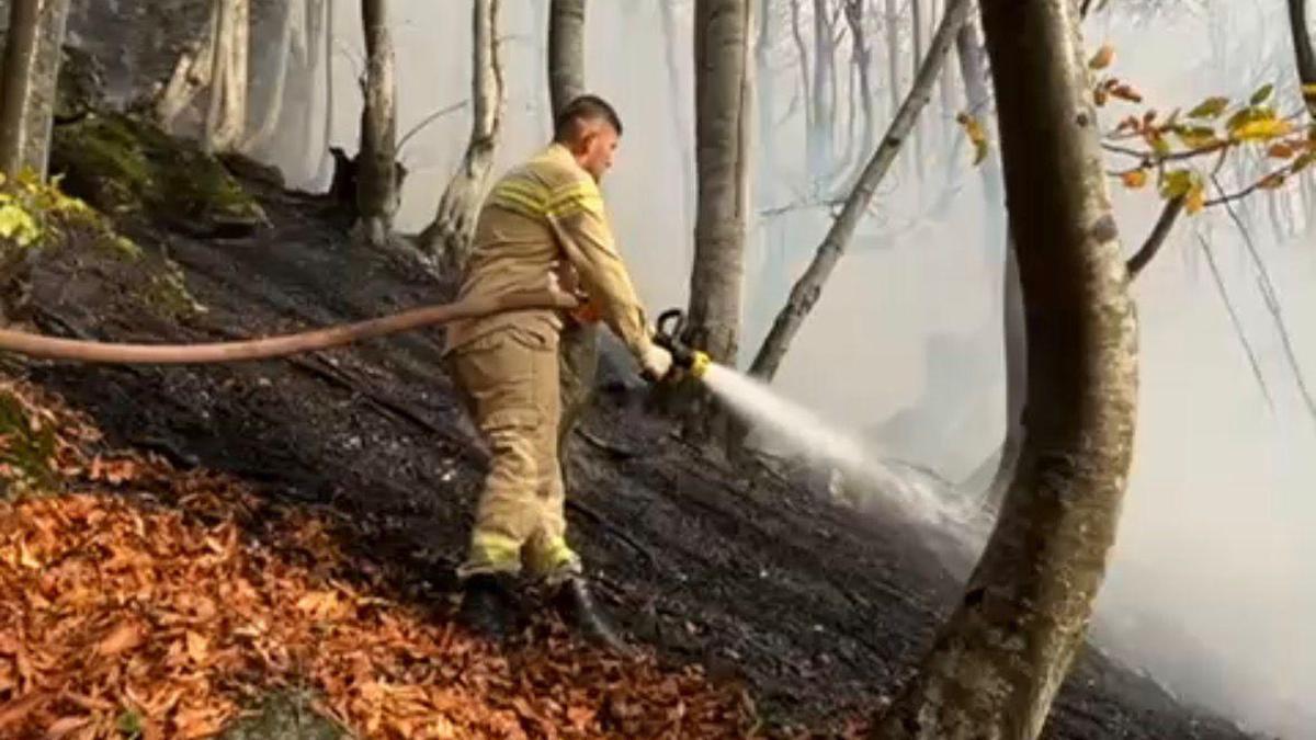 Ordu'da ormana da sıçrayan örtü yangını kontrol al…