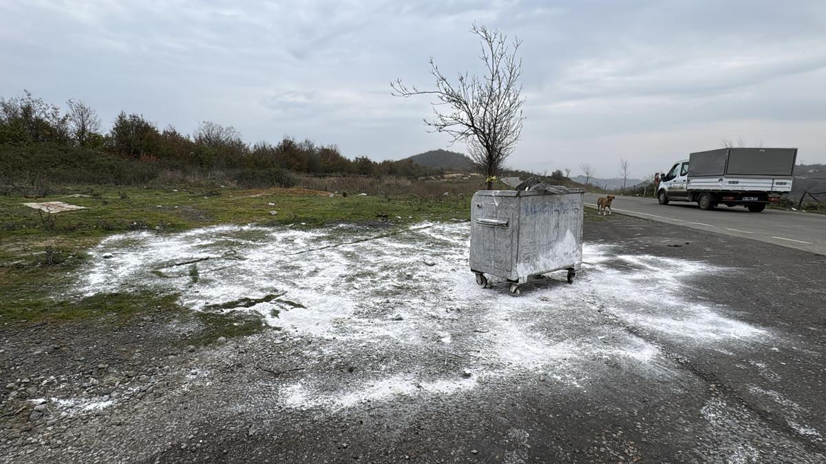 Samsun'da ölü bulunan 9 köpekten alınan doku örnekleri teste gönderildi