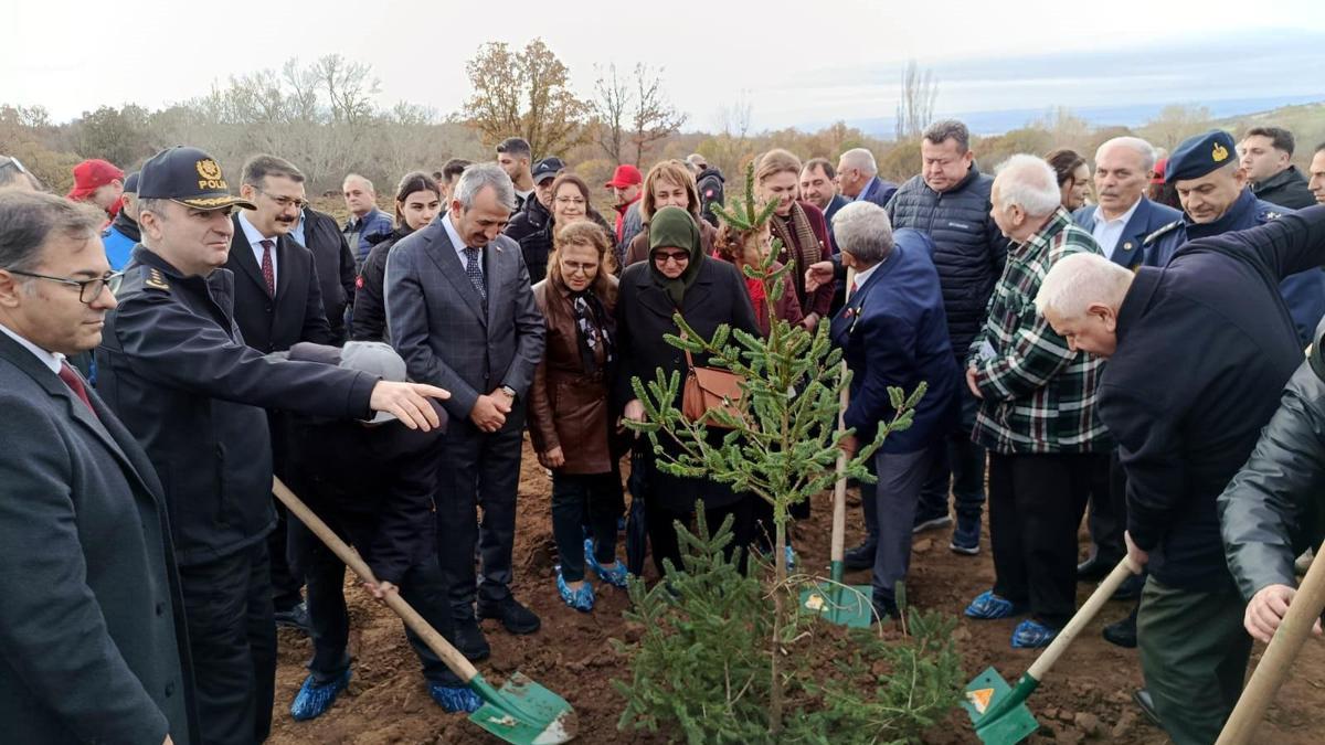 Edirnede 500 çam fidanı, şehitlerin anısına toprakla buluştu