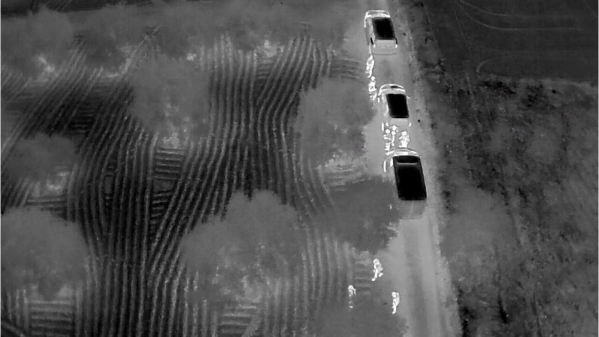 Hatayda zeytin bahçesinde 625 bin adet uyuşturucu …