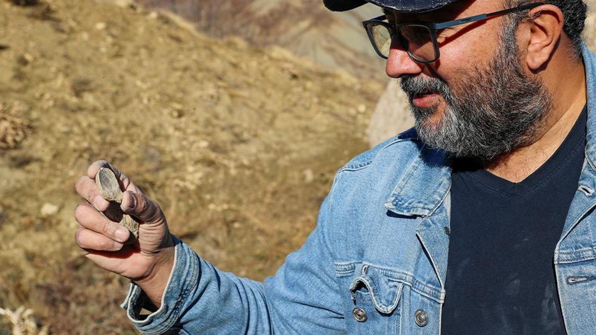 Bingölde 50 milyon yıllık deniz fosilleri bulundu!