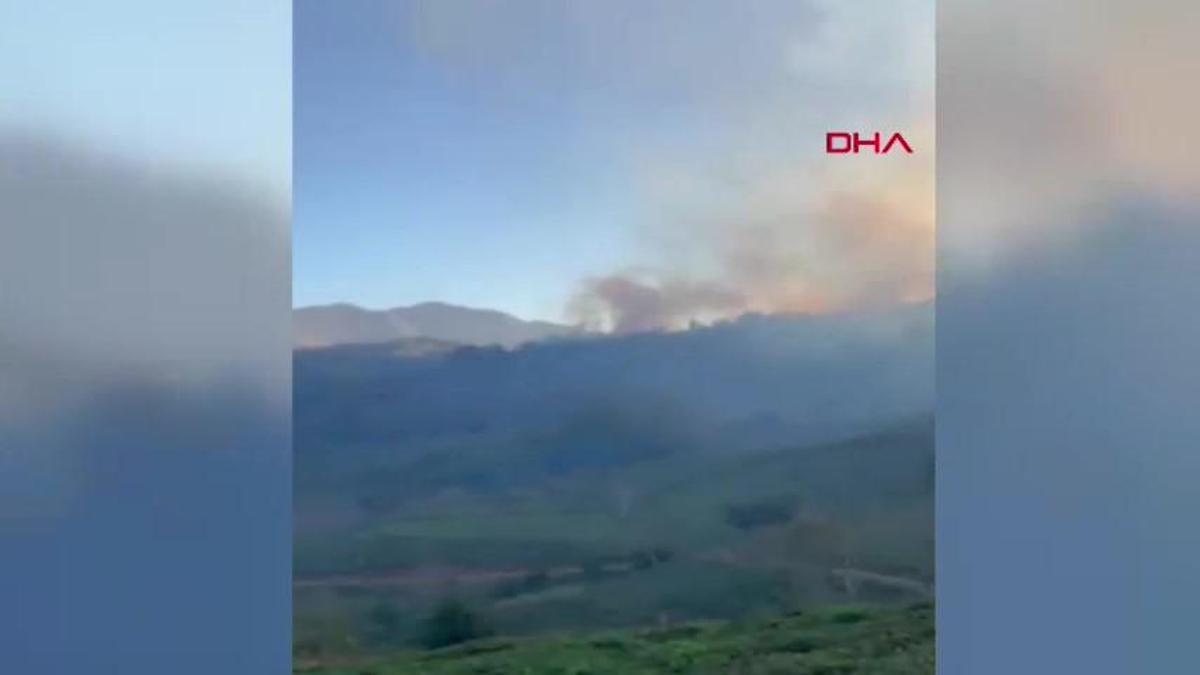 Artvinde örtü yangını, rüzgarın etkisiyle ormana yayıldı