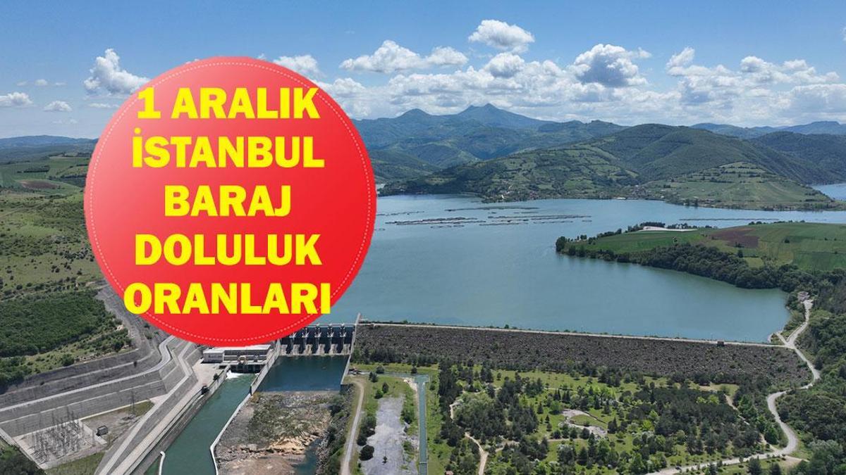 İstanbul Baraj Doluluk Oranları 1 Aralık: İstanbul Baraj Doluluk Oranları Kasım Ayında Ne Durumda? İşte İSKİ Verilerine Göre İstanbul Barajlarındaki Su Seviyesi...