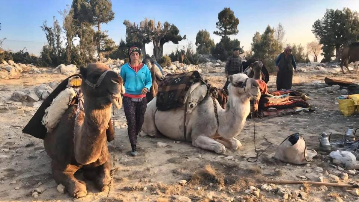 Sarıkeçili Yörüklerin develi 'kış yurdu' yolculuğu sürüyor