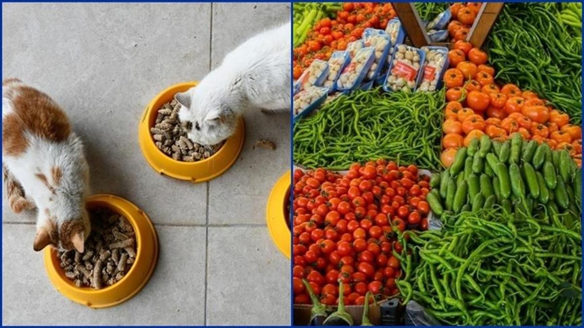 Kasım ayında fiyat artışlarında zirve evcil hayvan ürünlerinde