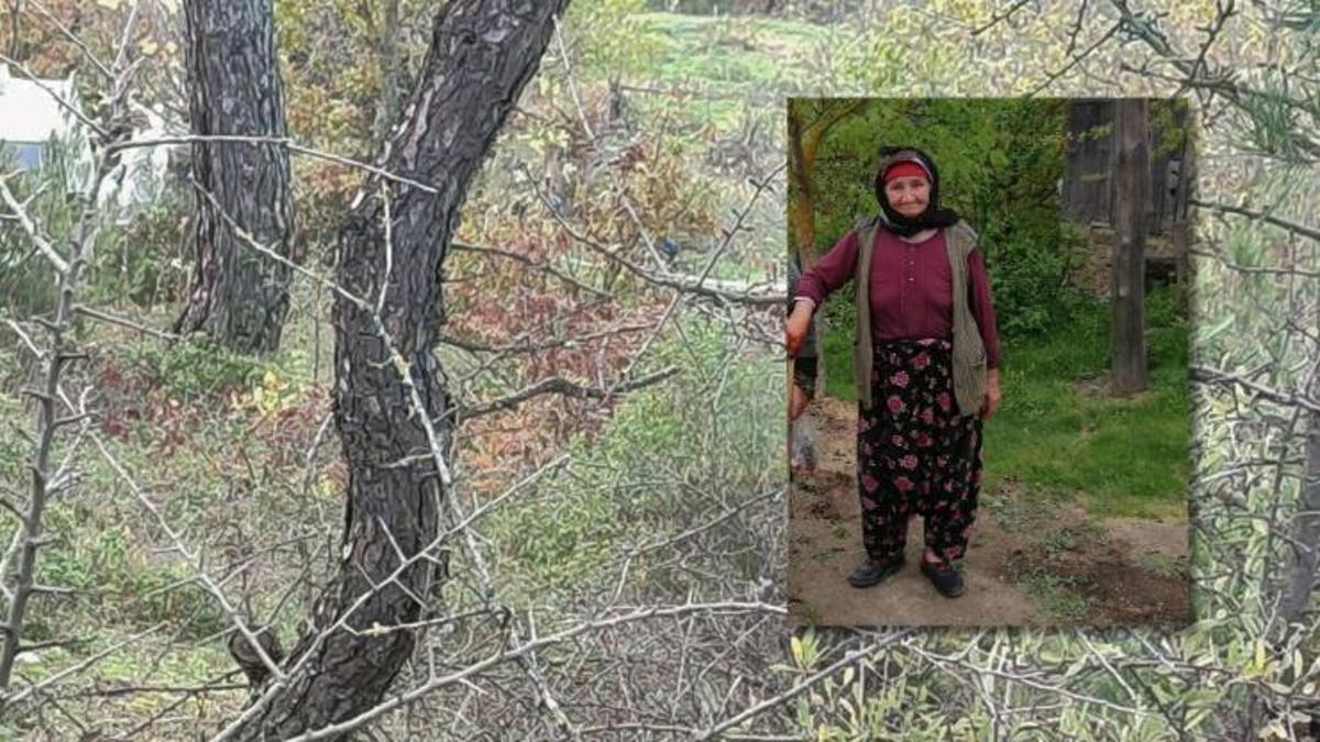 Çanakkale'de 90 yaşındaki kayıp Alzheimer hastası, ölü bulundu