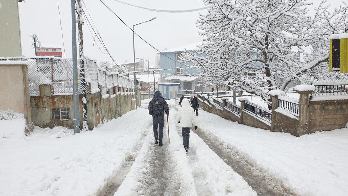 Van'ın 2 ilçesinde 11 yerleşim yeri kar nedeniyle ulaşıma kapandı
