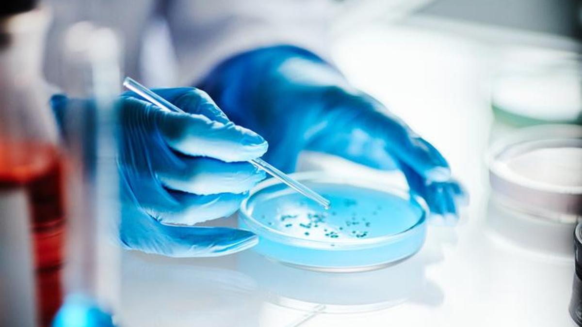 Avrupa ülkesi alarmda: 30 yıl sonra geri döndü! Şüpheleri değiştiren bulgu: Laboratuvardan mı yayıldı?