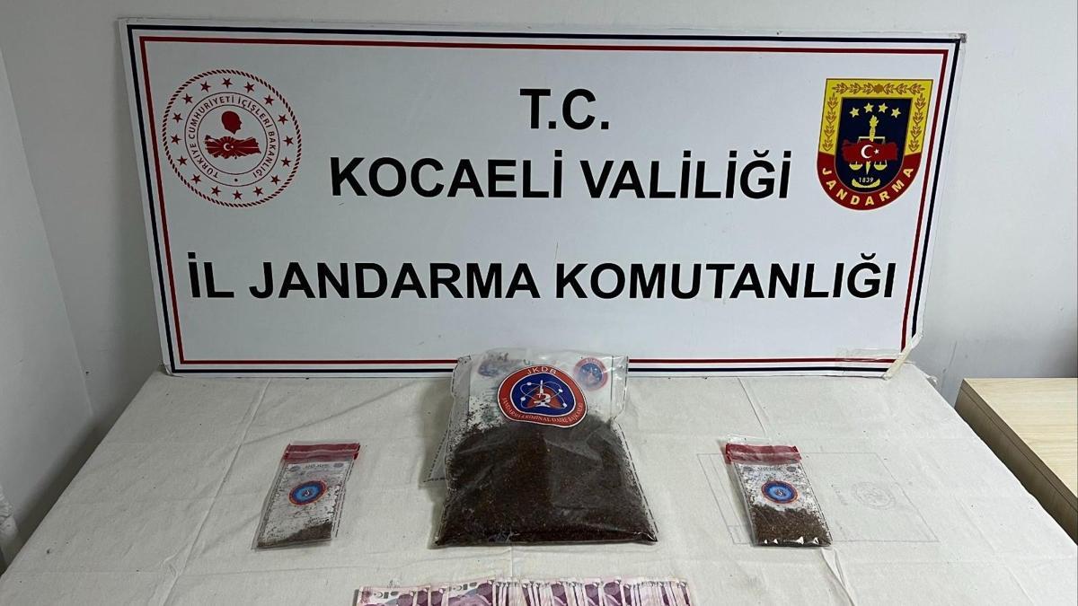Apartman dairesinde 1 kilo 287 gram bonzai ele geçirildi