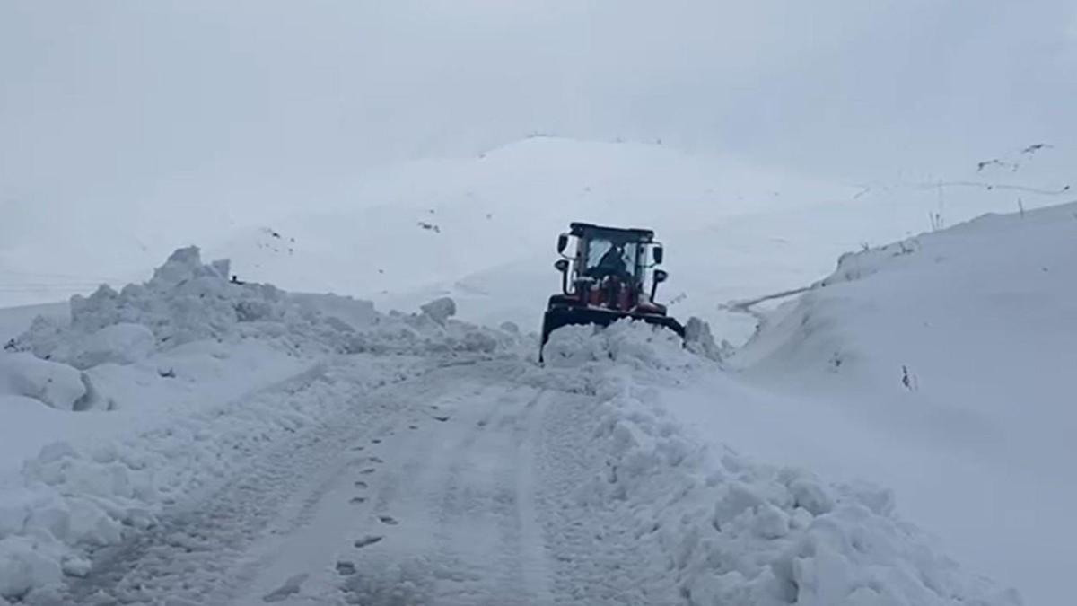 Şırnakın yüksek kesimlerinde kar kalınlığı 50 santimetreyi buldu